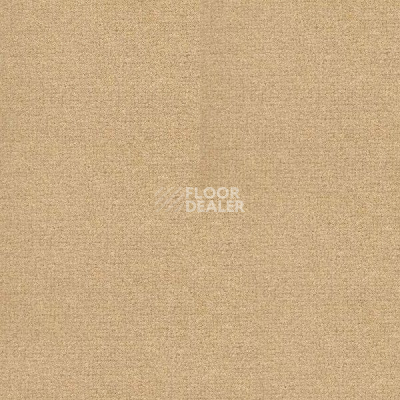 Ковролин Radici Abetone Miele 0736 фото 1 | FLOORDEALER